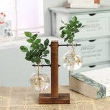 elvesmall Terrarium Flask Planter Vase